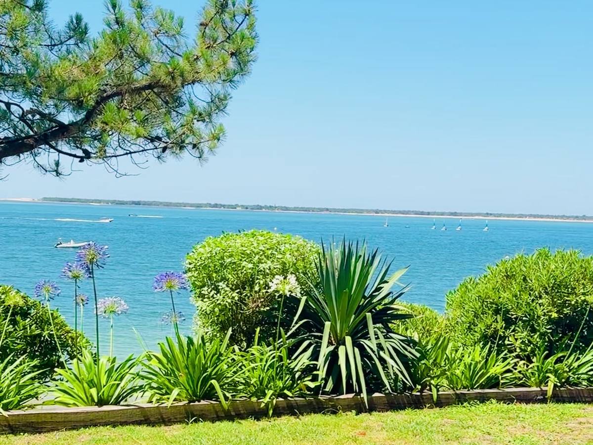 Arcachon Bay seen from a villa garden, under the pines